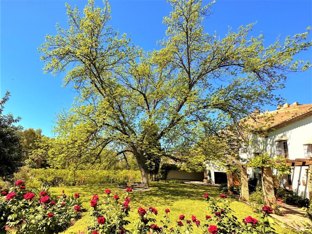 Casa Santa Catalina Villa Álora Eksteriør billede